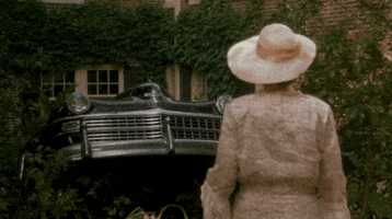 driving miss daisy GIF