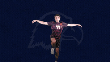 Karate Crane Kick GIF by Carson-Newman Athletics