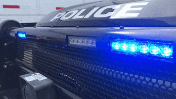 MSO Sheriff GIF