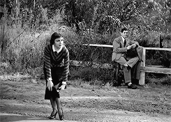 Image result for HITCHHIKE TO HELL GIF