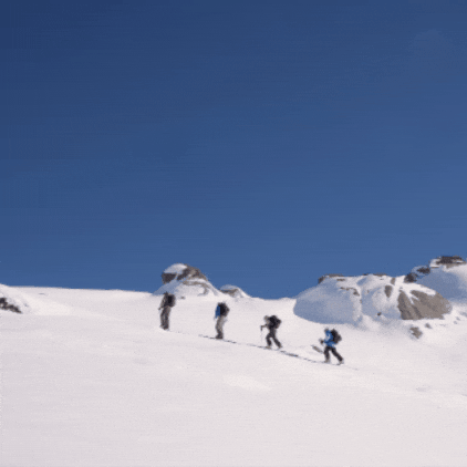 GIF by Thredbo