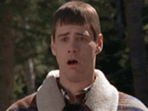 giphy.gif?cid=82a1493be5d56e480291a496ed05327daac6b2c5d5c032e6&rid=giphy.gif