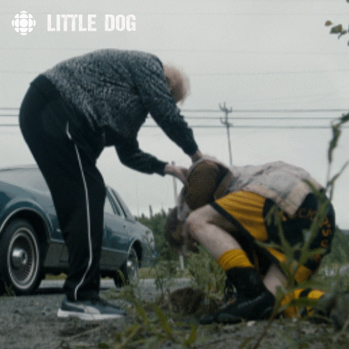 little dog poop GIF by CBC