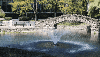 GIF by Drexel University, Elkins Park Campus