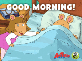 Waking Me Up Good Morning GIF by PBS KIDS