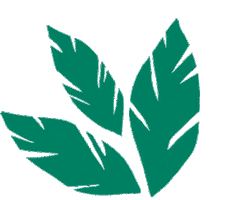 Rarestkind Sticker by Erstwilder