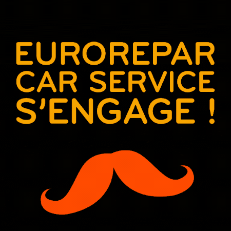 EuroreparCarServiceFrance GIF
