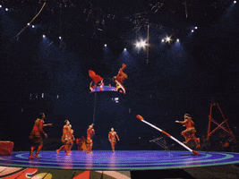 The Greatest Show Performance GIF by Ringling Bros. and Barnum & Bailey