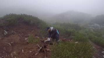 vale4ka  GIF