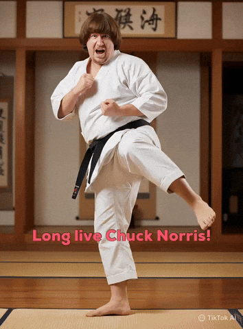 Chuck Norris GIF