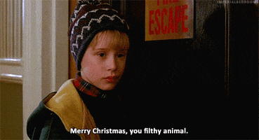 Movie gif. Macaulay Culkin as Kevin from Home Alone. He wears a beanie and snarls, "Merry Christmas you filthy animal."