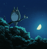 Pokemon Totoro Gifs Get The Best Gif On Giphy