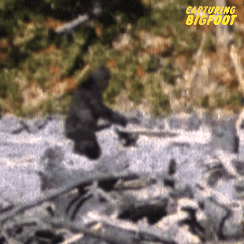 Capturing Bigfoot GIF by XYZ Films