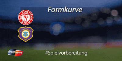 sport aue veilchen kumpelverein #foraue GIF