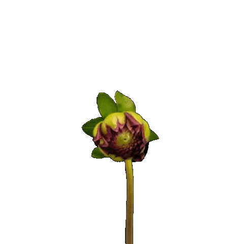 Alex Sanchez Sticker