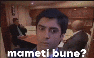 Polat Alemdar GIF