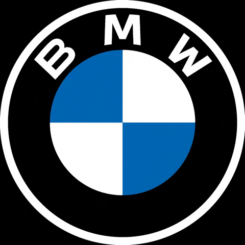 BMW или AUDI