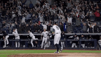 Aaron Judge GIF by MLB - Find & Share on GIPHY