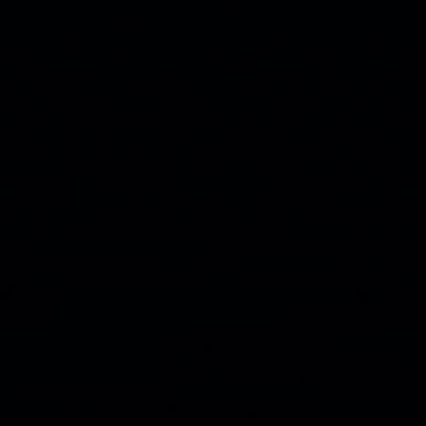 Ali Khan King GIF