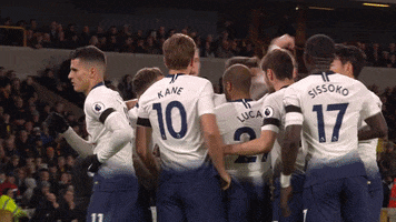 spurs official GIF by Tottenham Hotspur