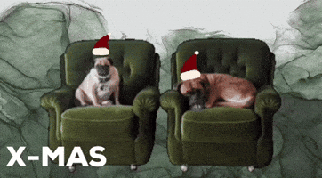 Merry Christmas Dog GIF