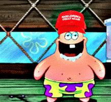 Make America Great Again Trump GIF