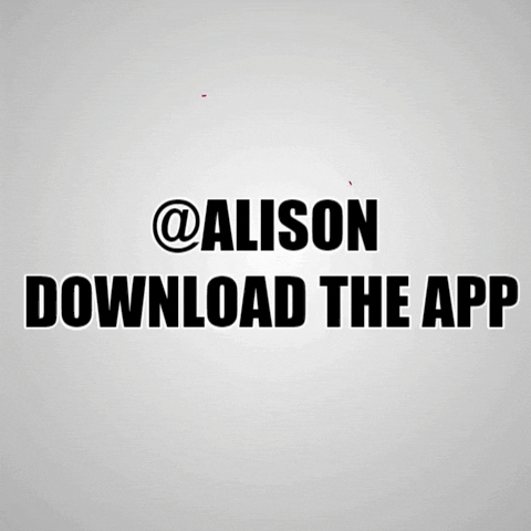 Alison Verse GIF by Socialverse app