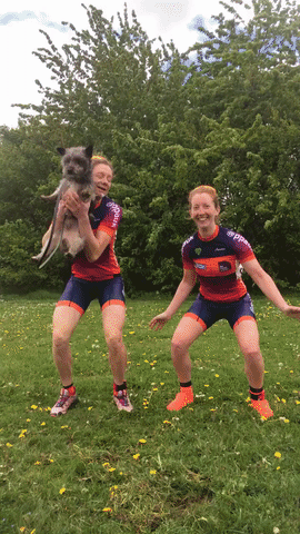 Tiny_Pigeon  GIF
