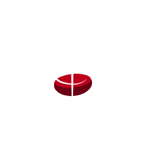 Accordi Sound Experience Sticker