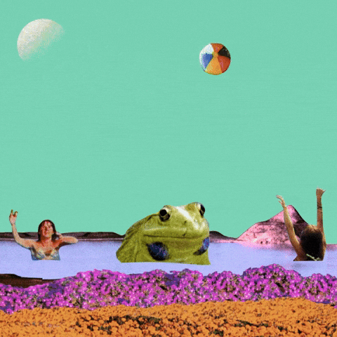 GIF by Shambhala Music Festival