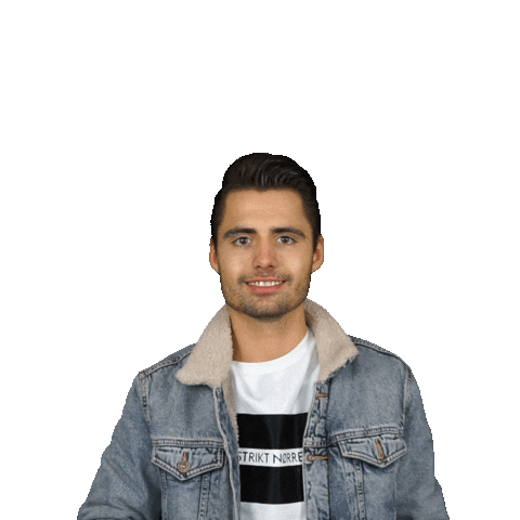 DJ  Dennis Beso Sticker