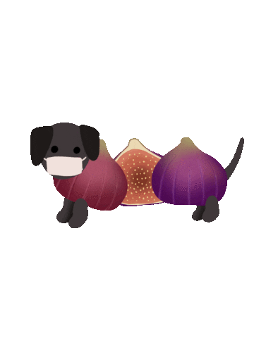 Dog Sticker