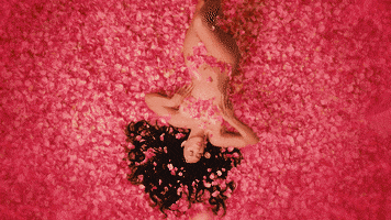 I Wish You Roses GIF by Kali Uchis