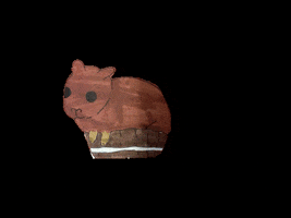 Gifboendide GIF by Kunstkwartier
