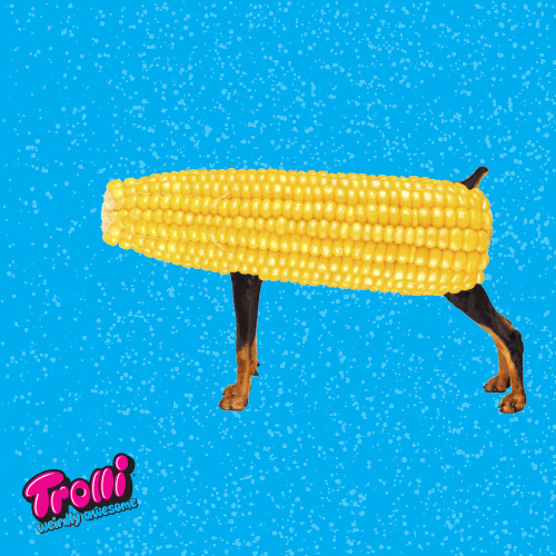 Corndog GIFs - Get the best GIF on GIPHY