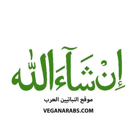 Faith Muslim Sticker by VeganArabs