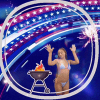 Labor Day Fireworks GIF by The3Flamingos