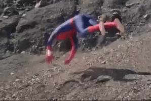 Spider-Man Fall GIF by MANGOTEETH