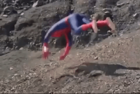 funny tumbleweed gif