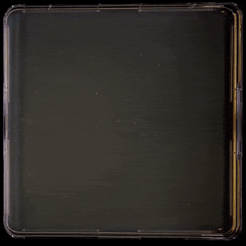 microbial life microbes GIF by Harvard University