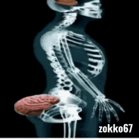 Zokko67 GIF