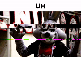 Coelho Jec Futsal GIF