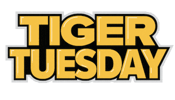 College Tiger Sticker by Towson University