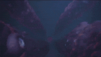 Demon Slayer GIF
