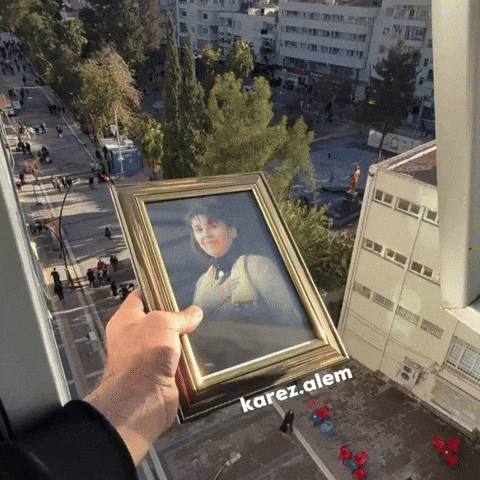 Turkish Kurdistan GIF