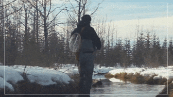 GIF by alberta_conservation