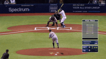 sportlifebet  GIF