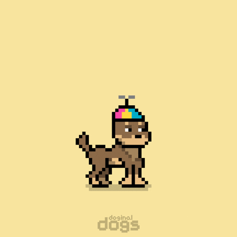 Excited Lets Go GIF by Doginal Dogs