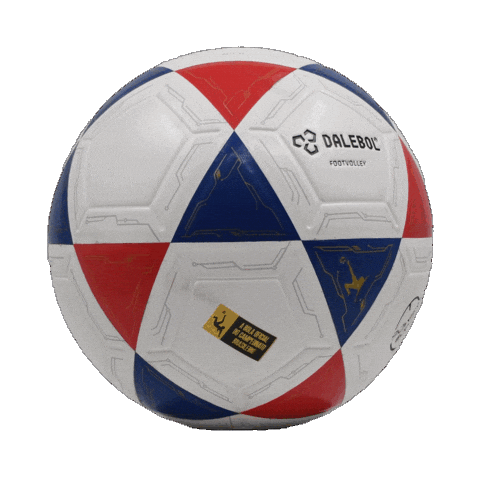 Bola Futevolei Sticker by Dalebol
