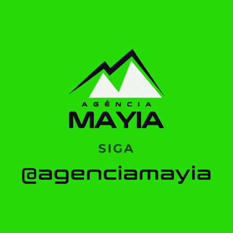 Seguir Marketing Digital GIF by Agência Mayia